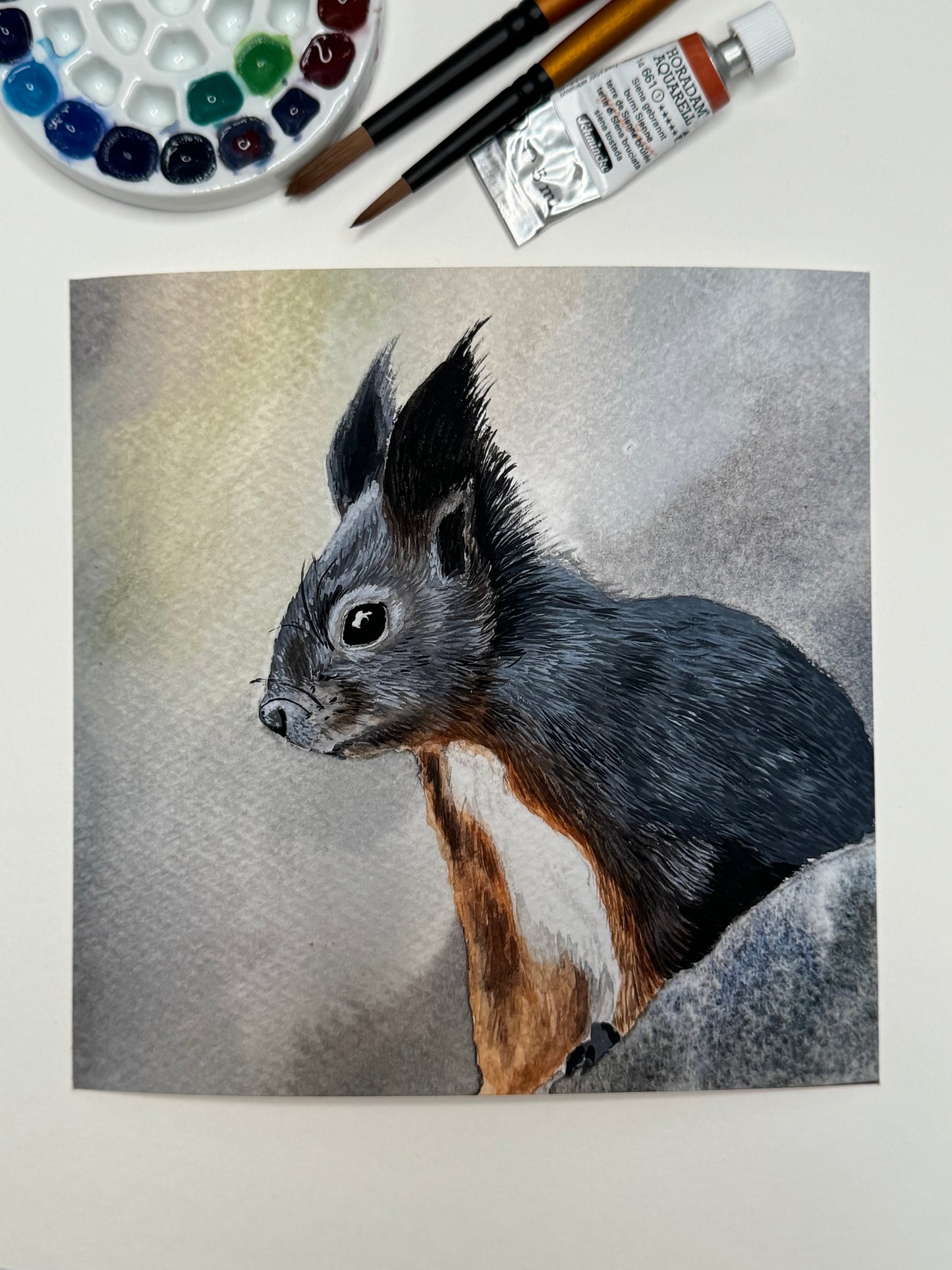 Kunstdruck PhalaFineArt Original 15x15cm - Eichhörnchen