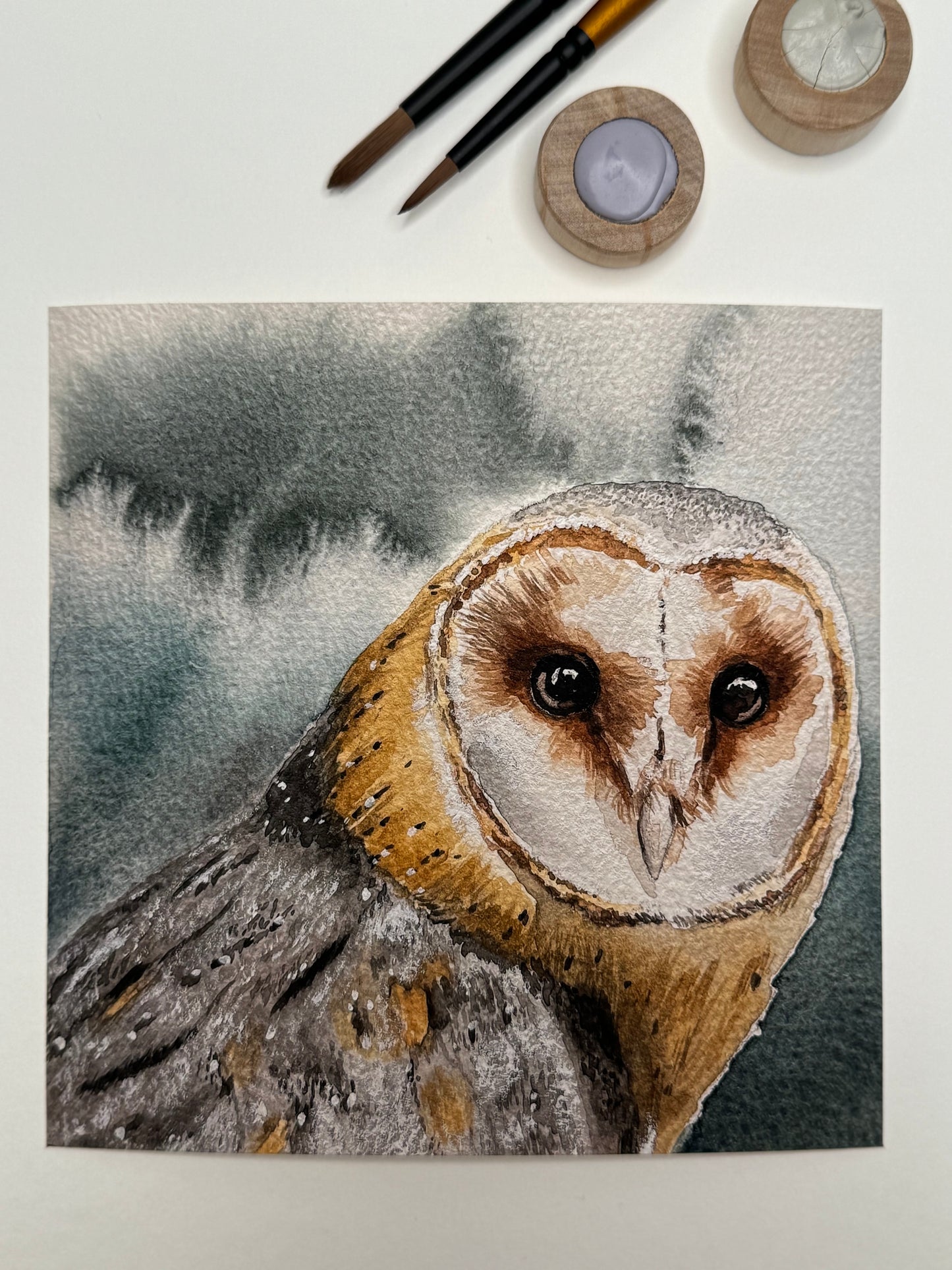 Kunstdruck PhalaFineArt Original 15x15cm - Eule