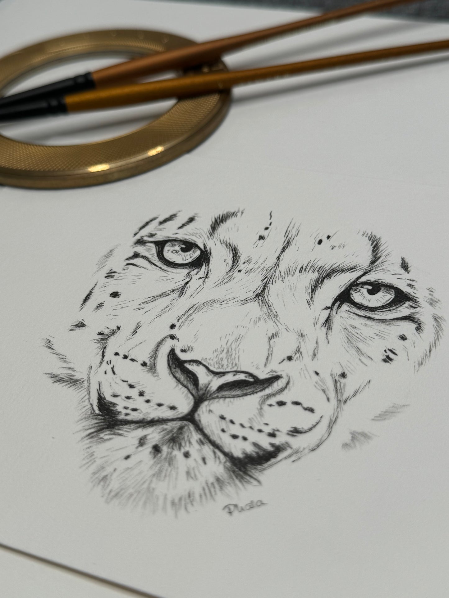 Zeichnung Tinte Original 19x13,5cm Schneeleopard