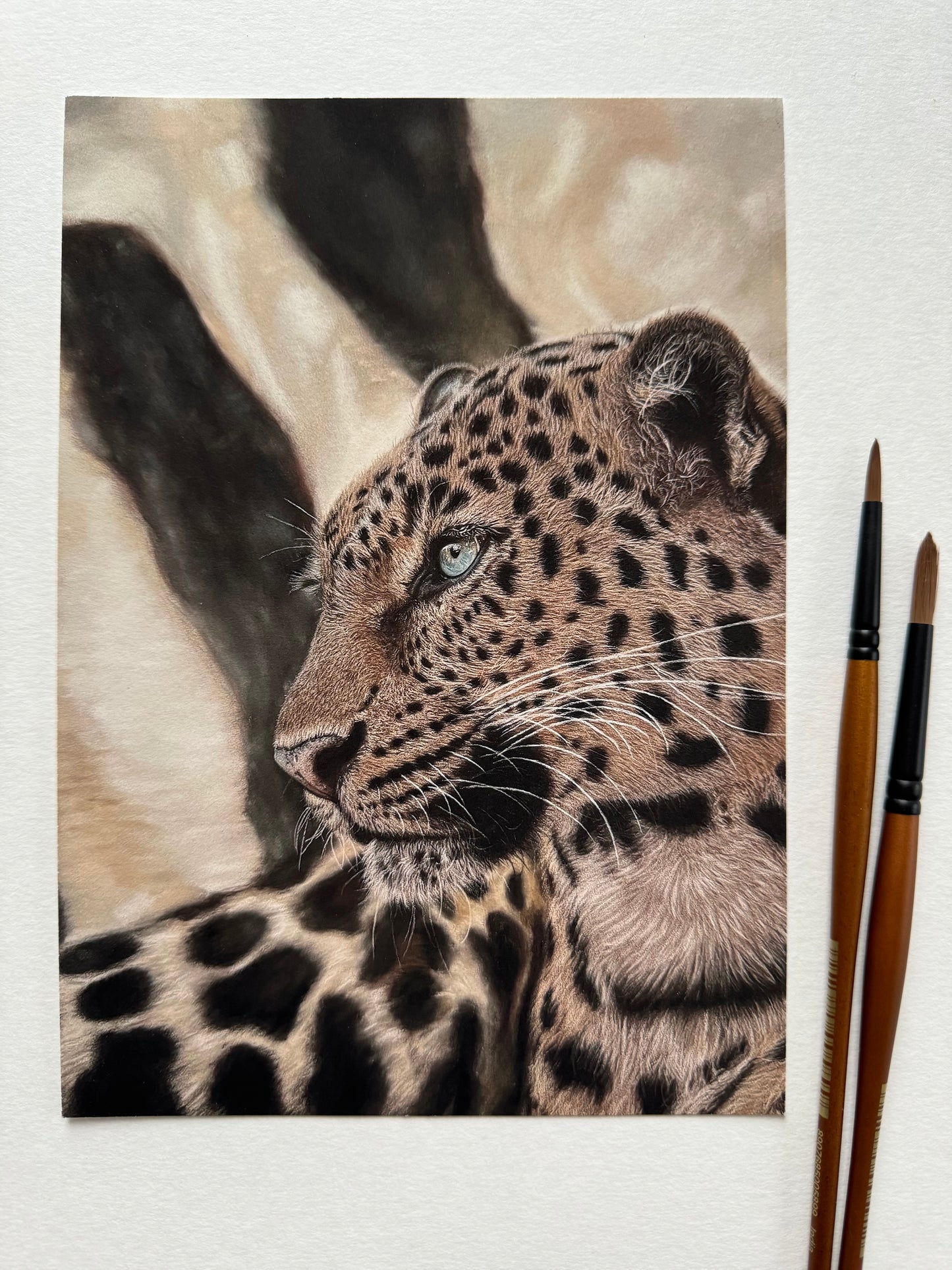 Kunstdruck PhalaFineArt Original 30x20cm - Leopard