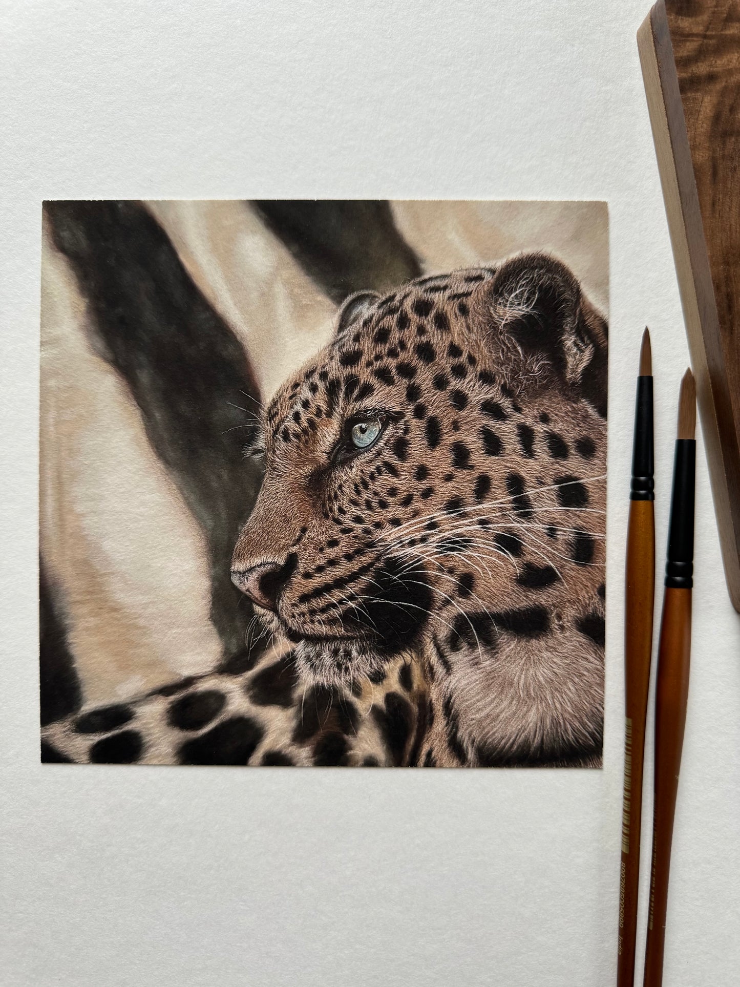 Kunstdruck PhalaFineArt Original 15x15cm - Leopard