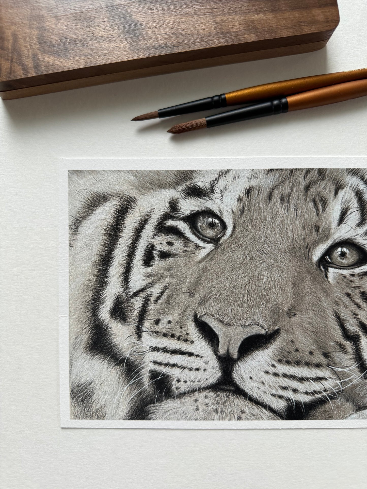 Kunstdruck PhalaFineArt Original 19x13cm - Tiger