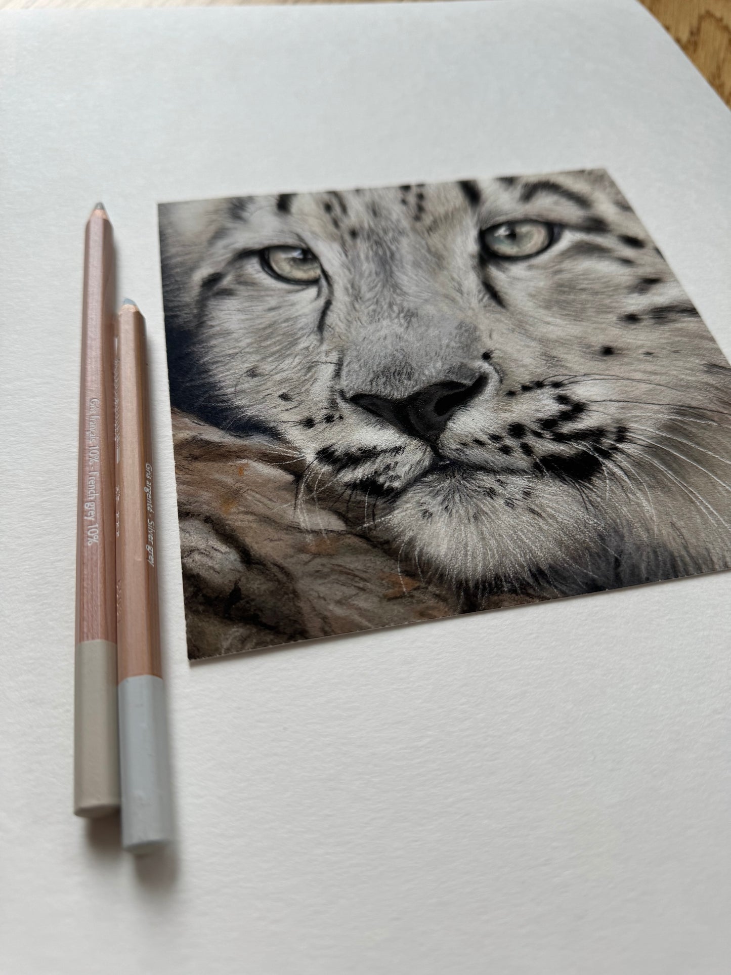 Kunstdruck PhalaFineArt Original 15x15cm - Schneeleopard