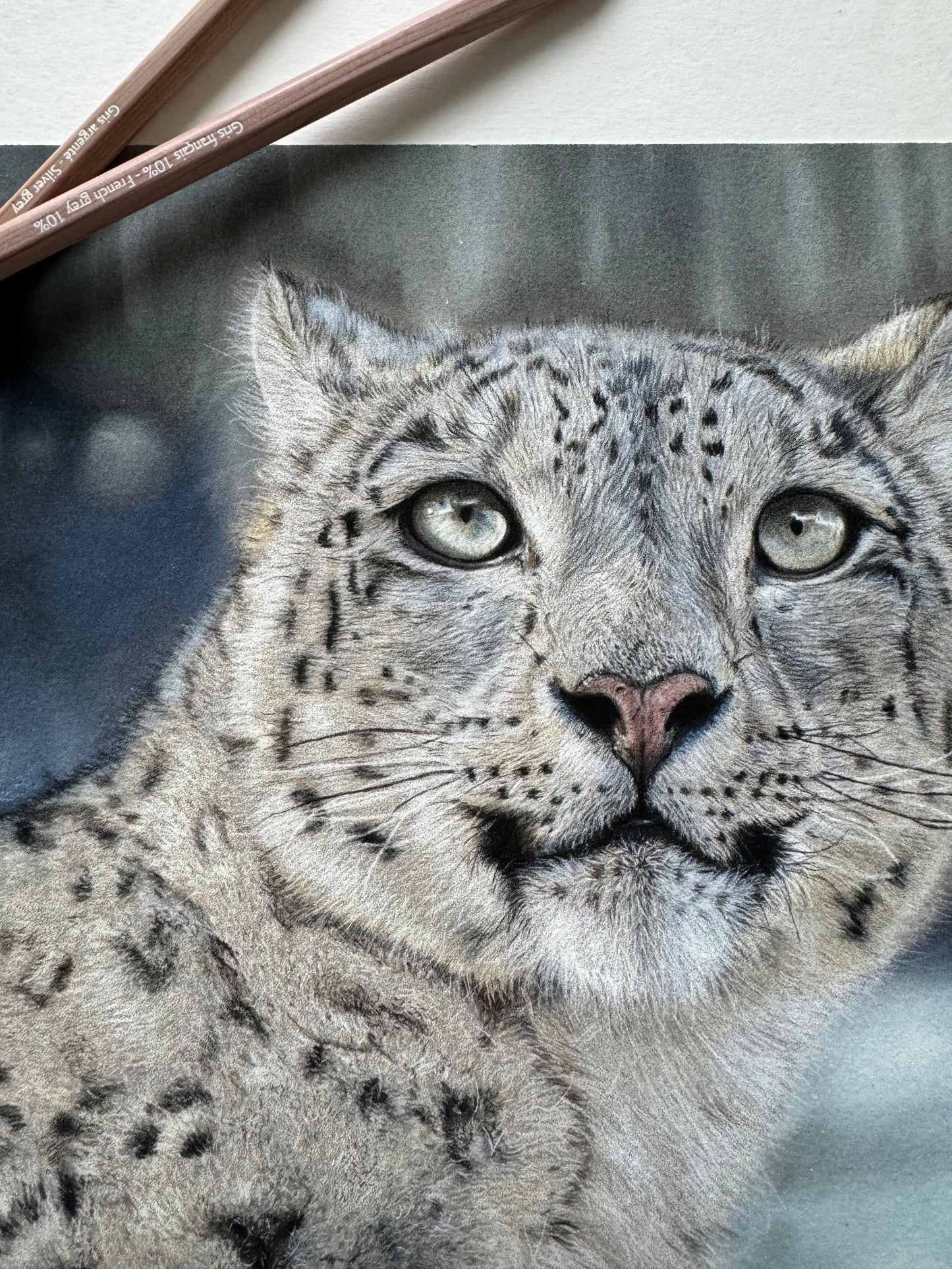 Kunstdruck PhalaFineArt Original 30x20cm - Schneeleopard 'Snow'