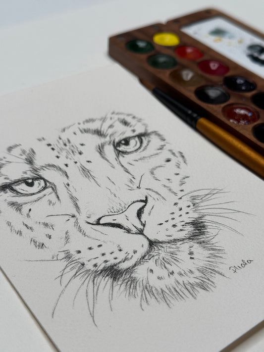 Original Schneeleopard Tinte 14,5x10,5cm