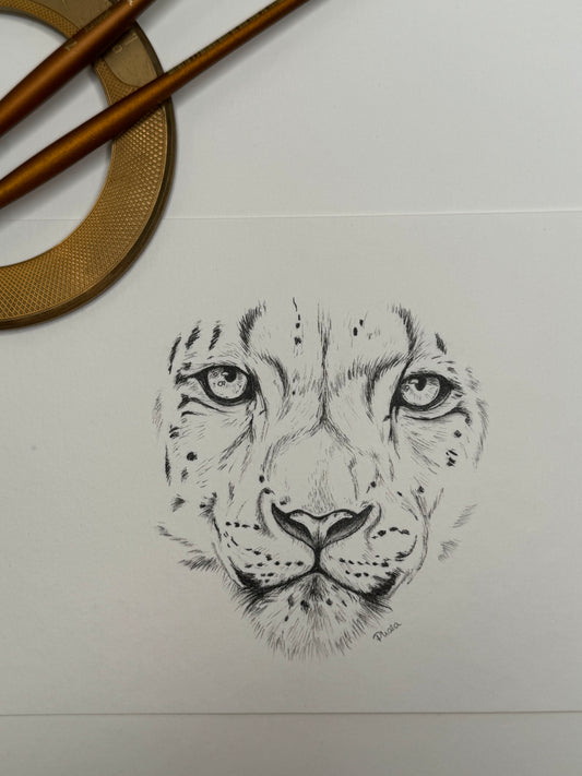 Zeichnung Tinte Original 19x13,5cm Schneeleopard